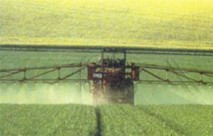 L’Agence de développement agricole : maître d’œuvre du Plan Maroc vert L’Agence de développement agricole : maître d’œuvre du Plan Maroc vert