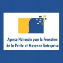 L’Agence nationale pour la promotion de la petite et moyenne entreprise