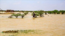 Niger/Inondations : le bilan s’alourdit à 65 morts et 342.263 sinistrés