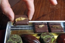 Fêtes: des insectes dans vos chocolats Fêtes: des insectes dans vos chocolats