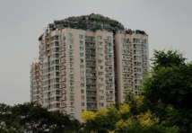 Chine: une maison avec jardin trônant sur une tour à Pékin devra être démolie Chine: une maison avec jardin trônant sur une tour à Pékin devra être démolie