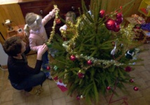 "Made in France" et naturel, le sapin de Noël ne connaît pas la crise "Made in France" et naturel, le sapin de Noël ne connaît pas la crise