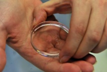 Australie: Des spermatozoïdes vieux de 17 millions d'années découverts Australie: Des spermatozoïdes vieux de 17 millions d'années découverts