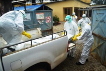 Ebola: au Congrès américain, appels à la suspension de visas aux pays touchés par l'épidémie Ebola: au Congrès américain, appels à la suspension de visas aux pays touchés par l'épidémie