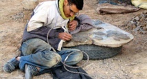 Maroc: les fossiles d'Erfoud, un trésor préhistorique en danger