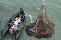 AirAsia: deux "grandes parties" de l'avion retrouvées en mer de Java AirAsia: deux "grandes parties" de l'avion retrouvées en mer de Java