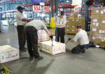 A Miami, dans l'antre de la brigade anti-contrebande d'animaux A Miami, dans l'antre de la brigade anti-contrebande d'animaux