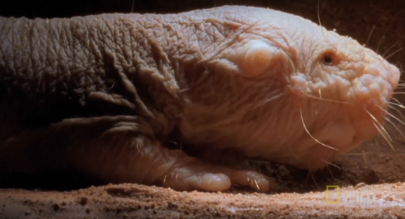 Qui peut vivre éternellement? Qui peut vivre éternellement?