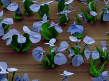 Nanotechnologie – Des Nano-Fleurs cultivées en laboratoire