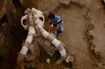 Un mammouth vieux de 14.000 ans sort de terre au Mexique Un mammouth vieux de 14.000 ans sort de terre au Mexique
