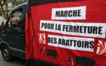 Une association de défense des animaux publie une vidéo dénonçant deux abattoirs du sud de la France