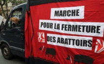 Une association de défense des animaux publie une vidéo dénonçant deux abattoirs du sud de la France Une association de défense des animaux publie une vidéo dénonçant deux abattoirs du sud de la France