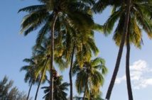 Un Australien gagne un hôtel sur une île tropicale à la tombola
