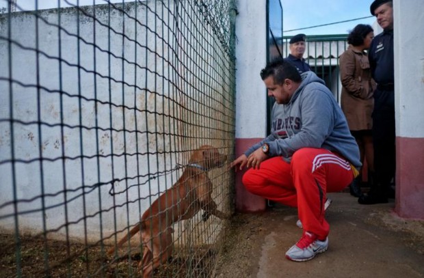 Au Portugal, la prison de Monsanto havre de paix pour les chiens