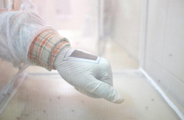 Burkina: un savon contre le paludisme
