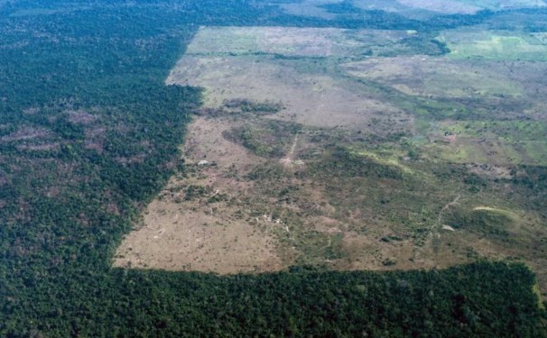 La forêt amazonienne pourrait perdre son plus généreux protecteur