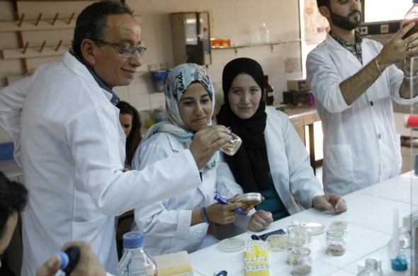 Au Maroc, des antibiotiques "dopés" aux huiles essentielles