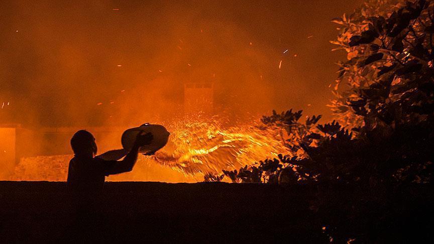 Portugal : 27 morts dans des feux de forêts