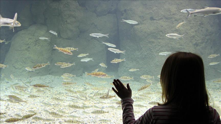 Suisse: Ouverture du plus grand aquarium-vivarium européen à Lausanne