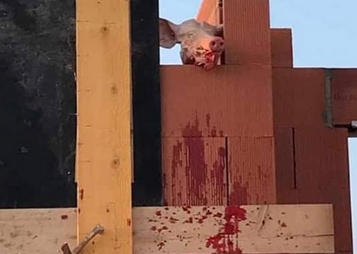 France : une tête de cochon sur le chantier d'une future mosquée