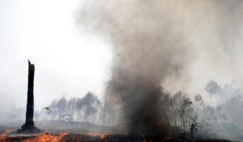 Amazonie: Des avions militaires s'activent en appui des pompiers