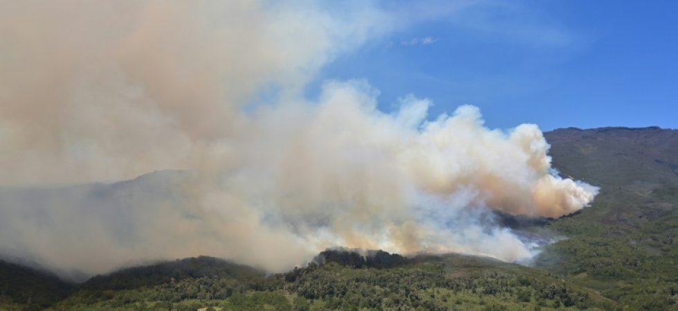 Forêts: l'Afrique brûle aussi, mais pas comme l'Amazonie