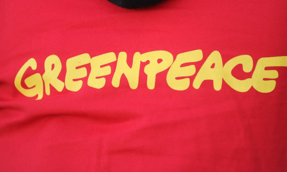 Feux en Afrique: Greenpeace demande la fin de toute activité en forêt équatoriale