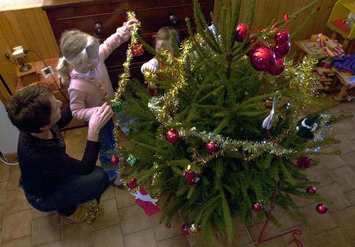 "Made in France" et naturel, le sapin de Noël ne connaît pas la crise
