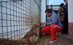 Au Portugal, la prison de Monsanto havre de paix pour les chiens