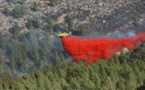 Des avions étrangers à l'aide d'Israël confronté à des feux exceptionnels