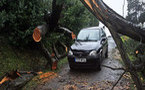 Après le passage de la tempête, 352.000 foyers toujours privés d'électricité