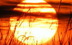 Premières images du Soleil fournies par la sonde russe Koronas-Photon