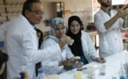 Au Maroc, des antibiotiques "dopés" aux huiles essentielles