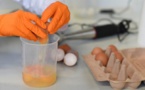 Des produits contaminés au fipronil rendus publics