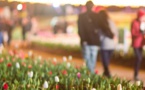 Floriade 2017: Un million de fleurs pour célébrer l’arrivée du printemps à Canberra