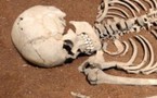 Un type d'hominidé révèle l'existence d'une lignée disparue d'ancêtres de l'Homme