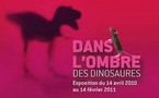 "Dans l'ombre des dinosaures", nos ancêtres les mammifères