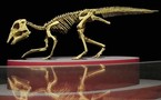 Les dinosaures étaient plus grands qu'estimé, selon une étude