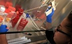 Méthode prometteuse pour créer des cellules souche humaines pluripotentes