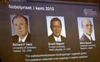 Nobel/chimie: un trio récompensé pour des travaux utiles contre le cancer