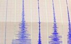 Séisme de magnitude 6,9 au Mexique