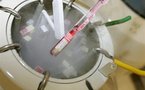 Une éventuelle baisse de la fertilité humaine ne menace pas la démographie