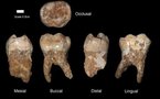 Des restes d'un Homo sapiens de 400.000 ans découverts en Israël