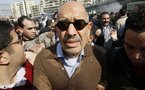 Egypte: ElBaradei tente d'apaiser les craintes américaines et israéliennes