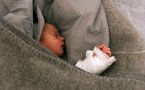 Une radio croate à la recherche des "bébés de la Saint-Valentin"