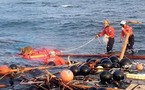 Japon: un chien dérivant en mer secouru 21 jours après le tsunami