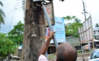 Au Bangladesh, le combat d'un homme pour sauver les arbres un par un