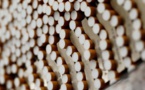 Canada: Une cour d'appel confirme la condamnation de trois cigarettiers