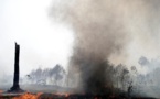 Amazonie: Des avions militaires s'activent en appui des pompiers