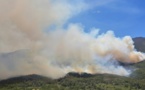 Forêts: l'Afrique brûle aussi, mais pas comme l'Amazonie